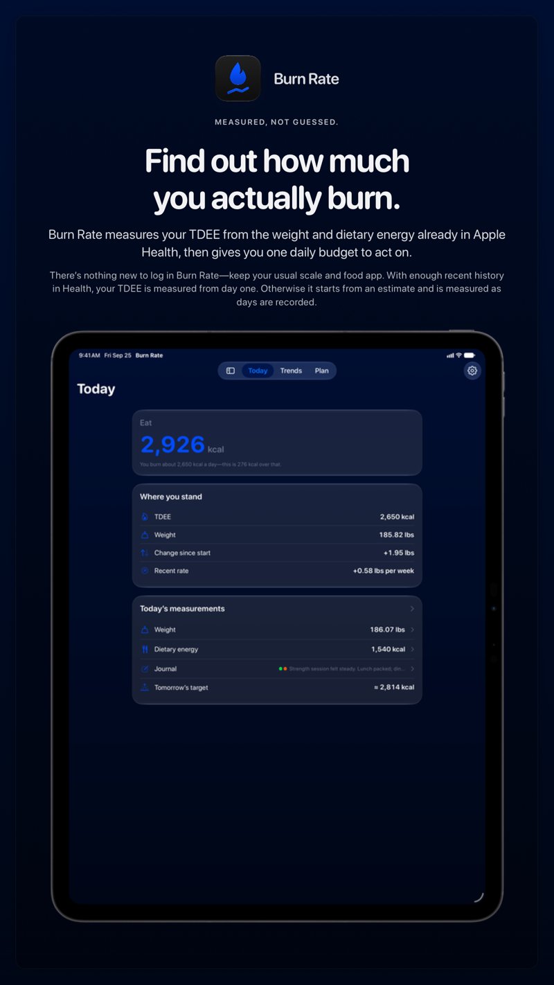 The Burn Rate share image, showing the app on iPad Pro 13-inch with its icon, name and headline for the gain story, in the Blue tint, dark appearance.
