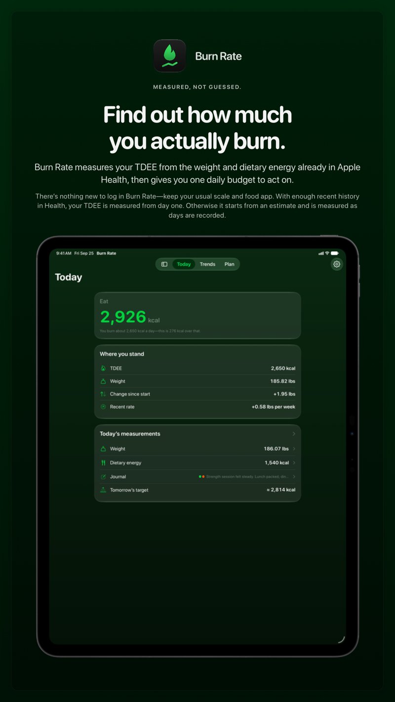 The Burn Rate share image, showing the app on iPad Pro 13-inch with its icon, name and headline for the gain story, in the Green tint, dark appearance.