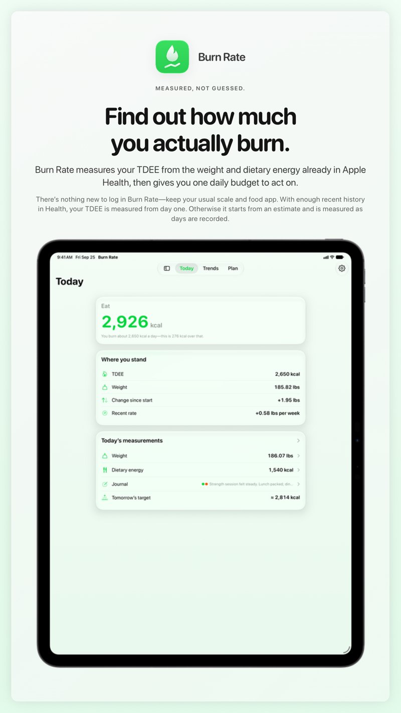 The Burn Rate share image, showing the app on iPad Pro 13-inch with its icon, name and headline for the gain story, in the Green tint, light appearance.