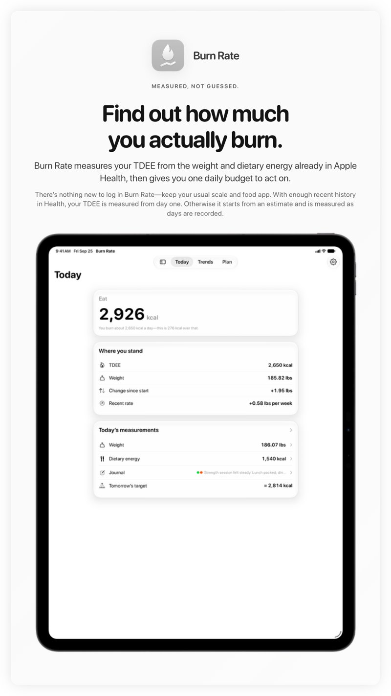 The Burn Rate share image, showing the app on iPad Pro 13-inch with its icon, name and headline for the gain story, in the Grey tint, light appearance.