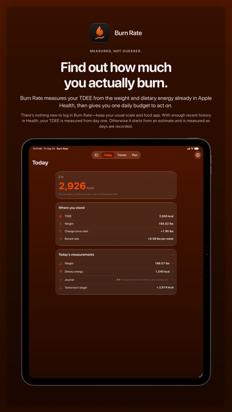 The Burn Rate share image, showing the app on iPad Pro 13-inch with its icon, name and headline for the gain story, in the Orange tint, dark appearance.