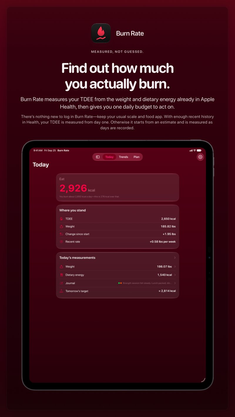 The Burn Rate share image, showing the app on iPad Pro 13-inch with its icon, name and headline for the gain story, in the Pink tint, dark appearance.