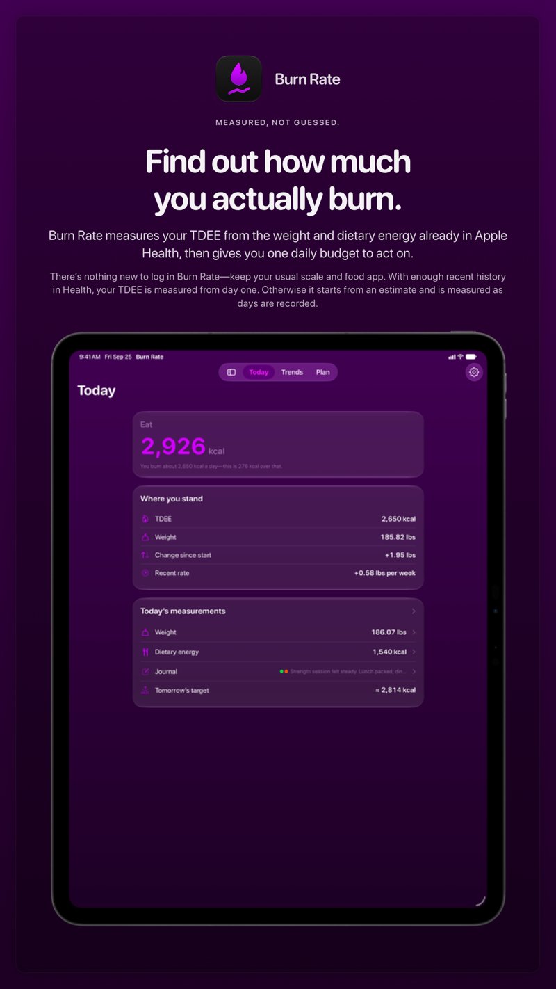 The Burn Rate share image, showing the app on iPad Pro 13-inch with its icon, name and headline for the gain story, in the Purple tint, dark appearance.
