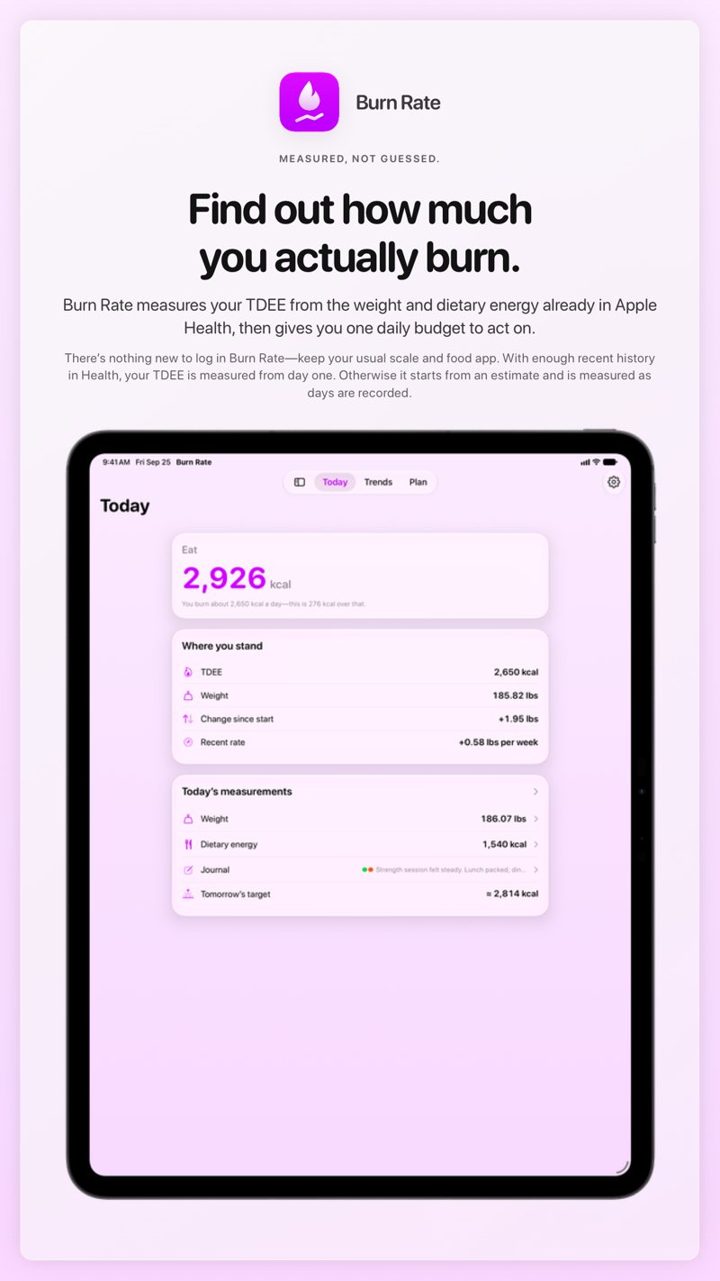 The Burn Rate share image, showing the app on iPad Pro 13-inch with its icon, name and headline for the gain story, in the Purple tint, light appearance.