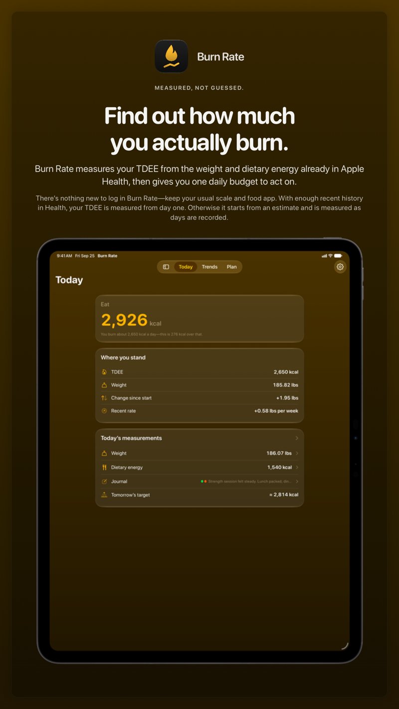 The Burn Rate share image, showing the app on iPad Pro 13-inch with its icon, name and headline for the gain story, in the Yellow tint, dark appearance.