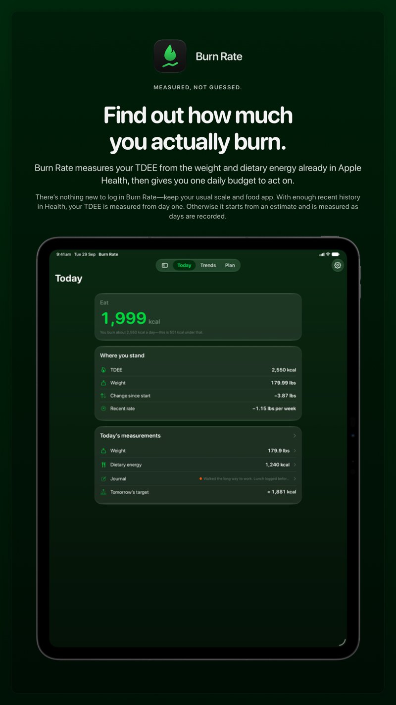 The Burn Rate share image, showing the app on iPad Pro 13-inch with its icon, name and headline for the loss story, in the Green tint, dark appearance.