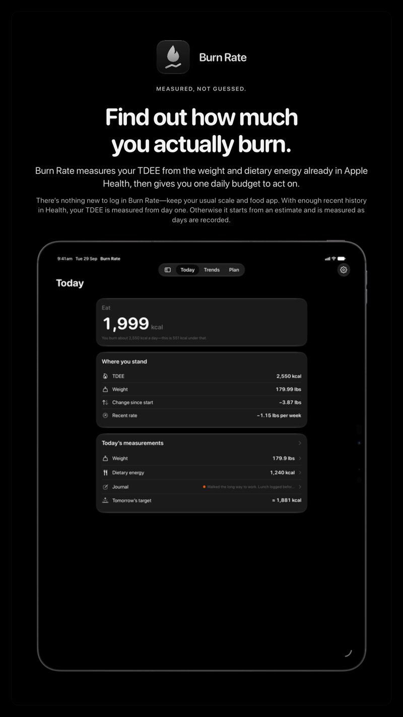 The Burn Rate share image, showing the app on iPad Pro 13-inch with its icon, name and headline for the loss story, in the Grey tint, dark appearance.