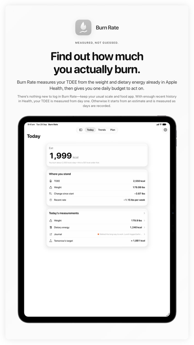 The Burn Rate share image, showing the app on iPad Pro 13-inch with its icon, name and headline for the loss story, in the Grey tint, light appearance.