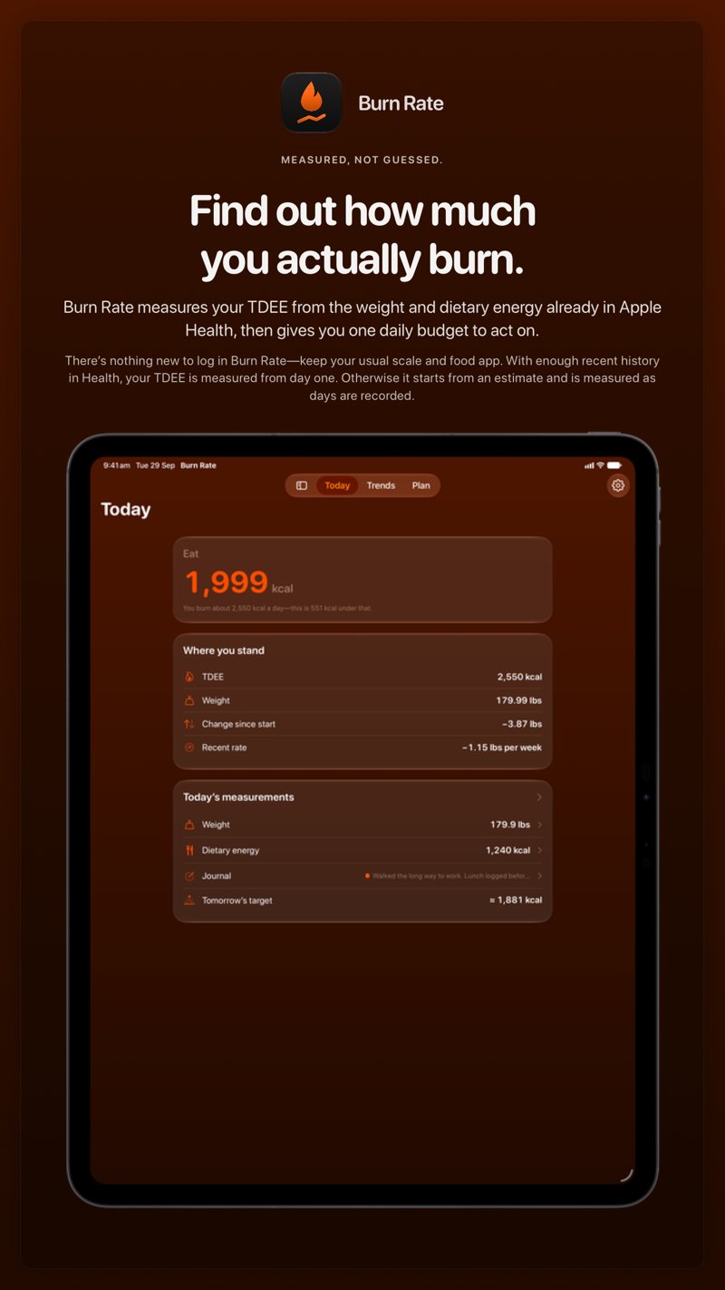 The Burn Rate share image, showing the app on iPad Pro 13-inch with its icon, name and headline for the loss story, in the Orange tint, dark appearance.