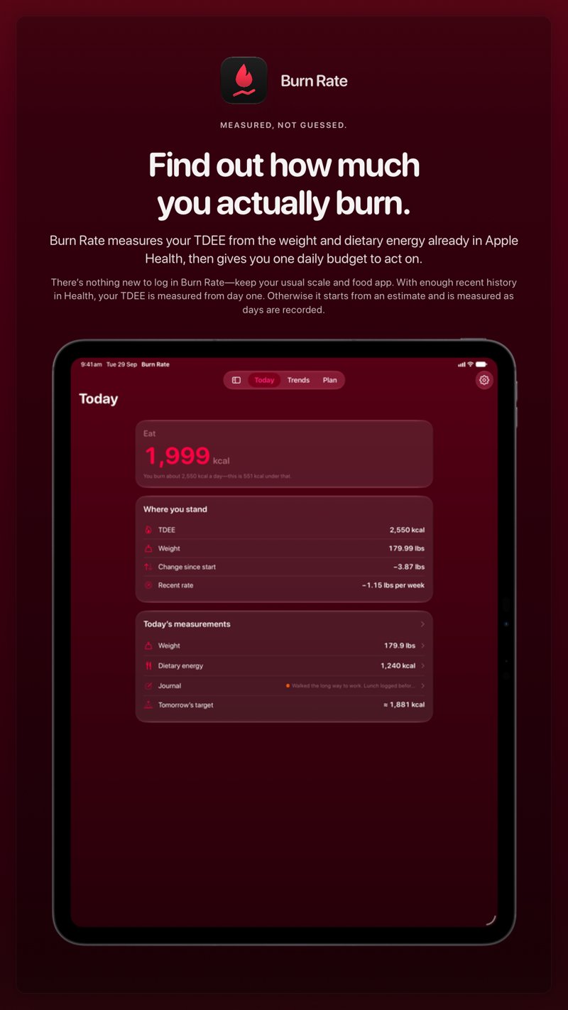 The Burn Rate share image, showing the app on iPad Pro 13-inch with its icon, name and headline for the loss story, in the Pink tint, dark appearance.