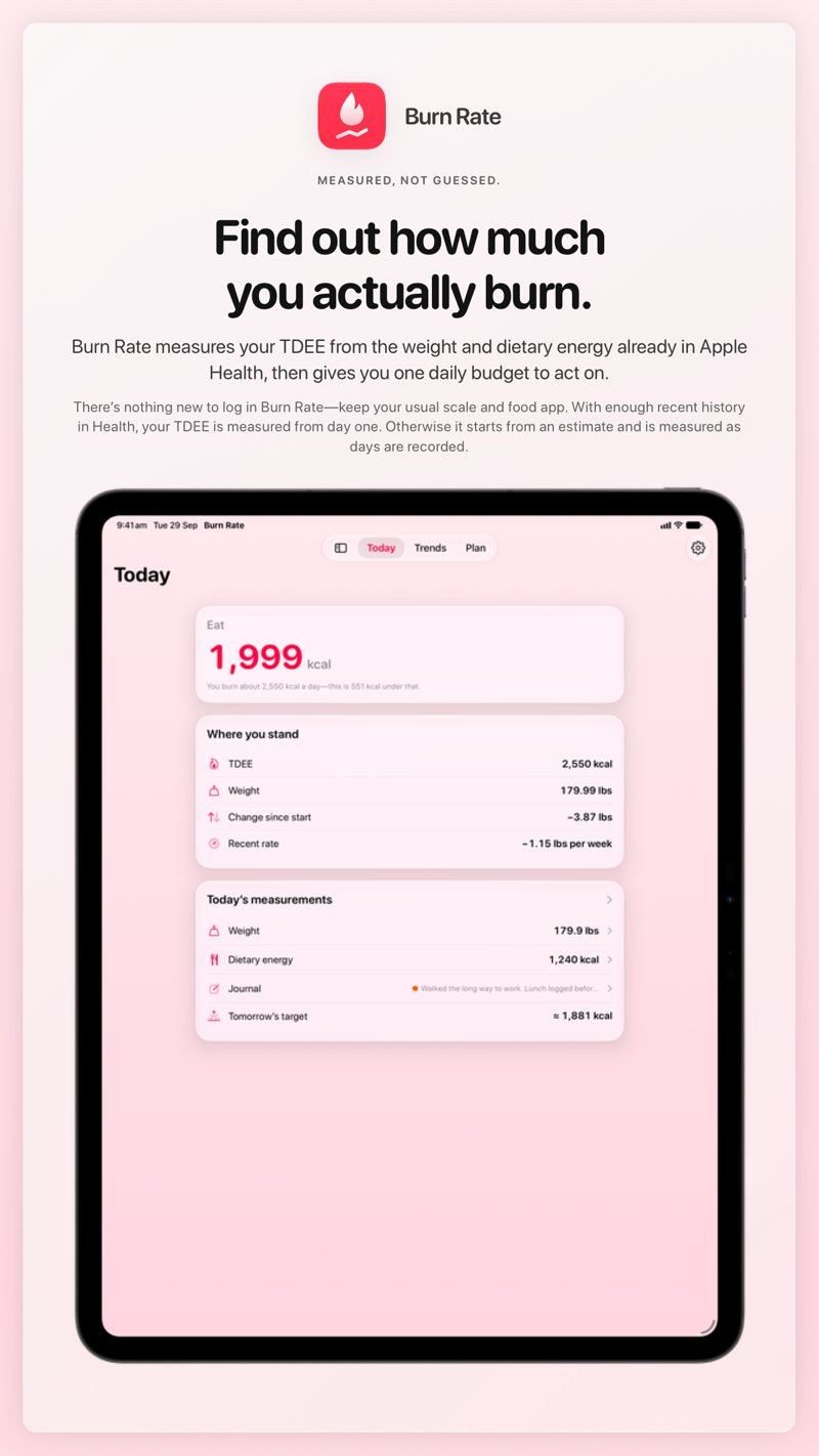 The Burn Rate share image, showing the app on iPad Pro 13-inch with its icon, name and headline for the loss story, in the Pink tint, light appearance.
