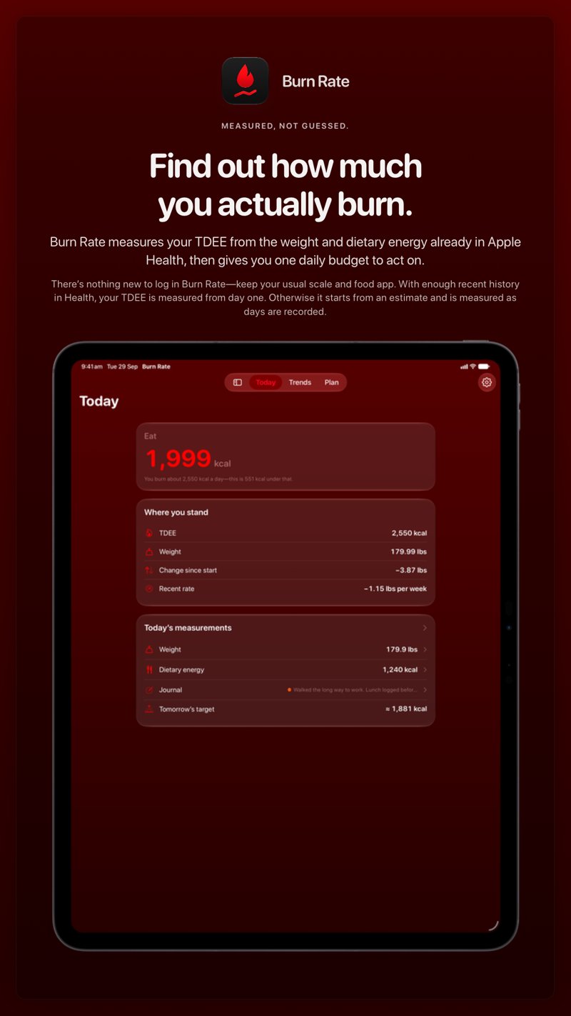 The Burn Rate share image, showing the app on iPad Pro 13-inch with its icon, name and headline for the loss story, in the Red tint, dark appearance.