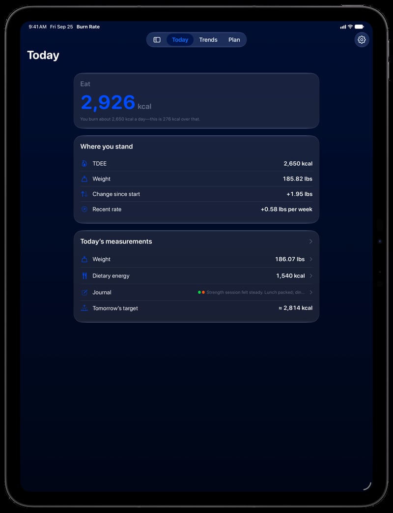 Burn Rate on iPad Pro 13-inch showing Home for the gain story, in the Blue tint, dark appearance.
