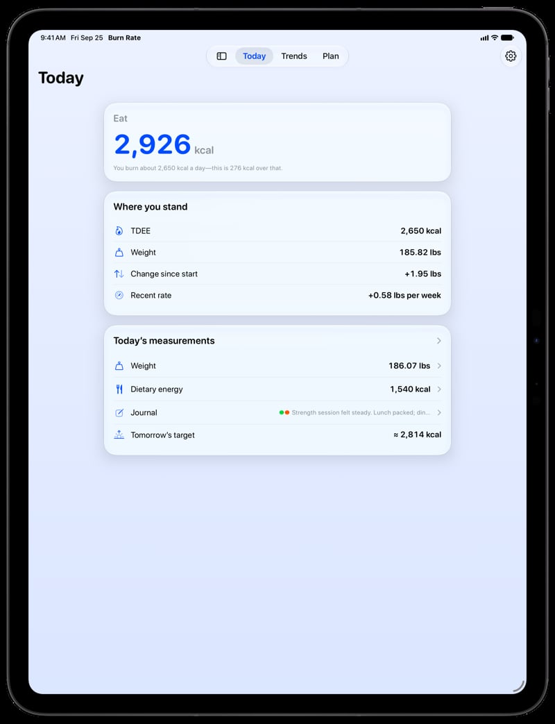 Burn Rate on iPad Pro 13-inch showing Home for the gain story, in the Blue tint, light appearance.