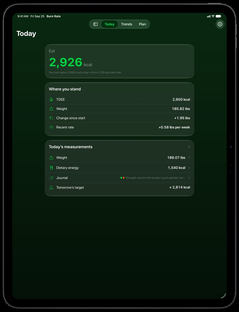 Burn Rate on iPad Pro 13-inch showing Home for the gain story, in the Green tint, dark appearance.