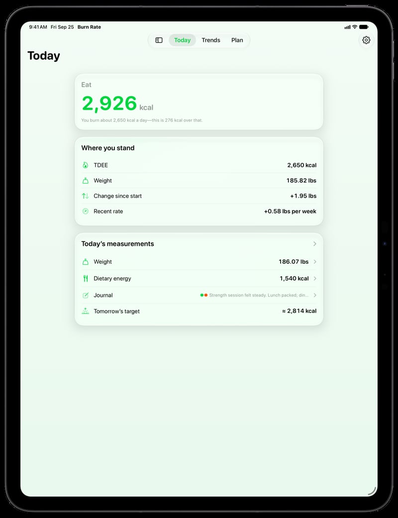 Burn Rate on iPad Pro 13-inch showing Home for the gain story, in the Green tint, light appearance.