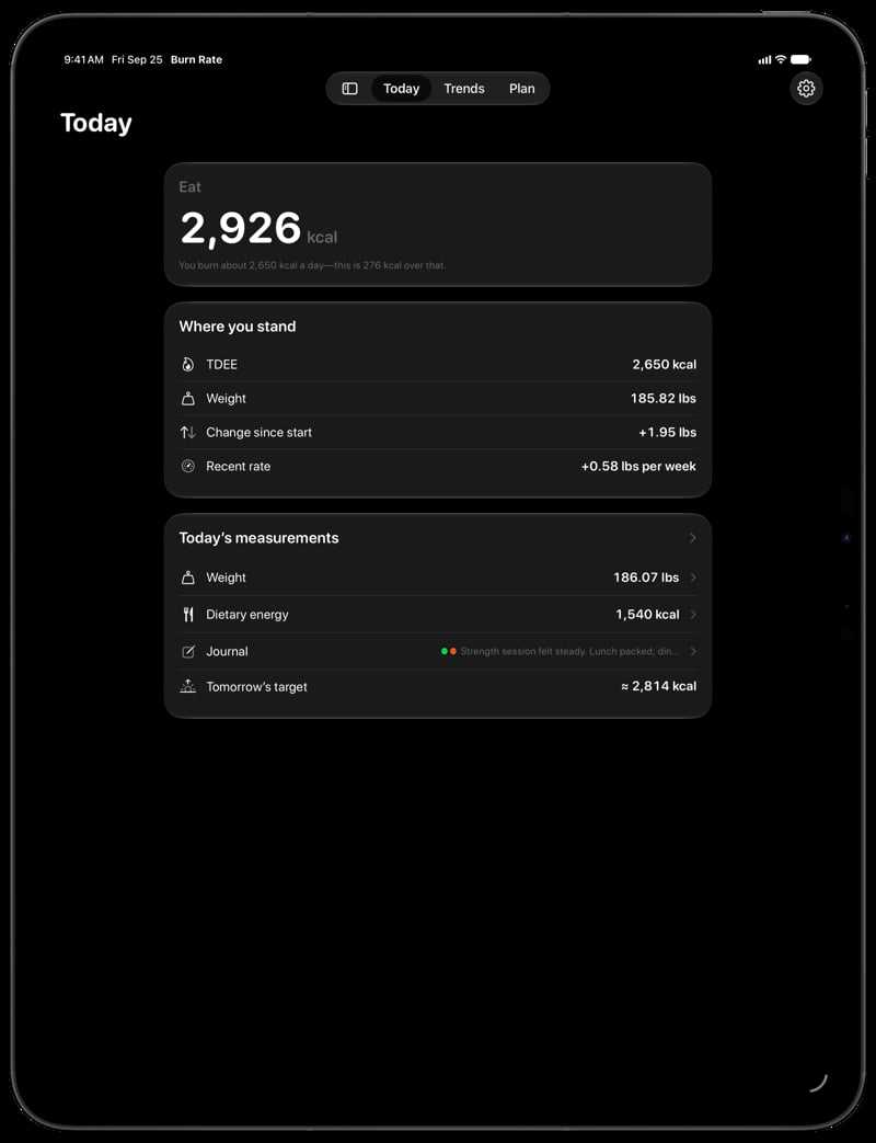 Burn Rate on iPad Pro 13-inch showing Home for the gain story, in the Grey tint, dark appearance.