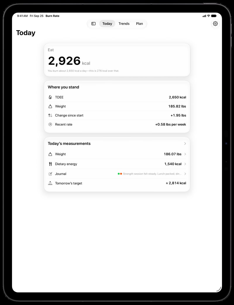 Burn Rate on iPad Pro 13-inch showing Home for the gain story, in the Grey tint, light appearance.