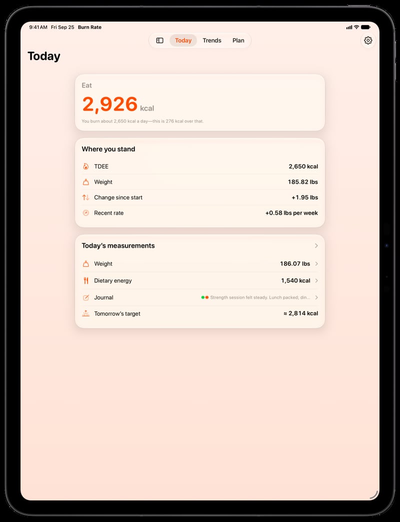 Burn Rate on iPad Pro 13-inch showing Home for the gain story, in the Orange tint, light appearance.