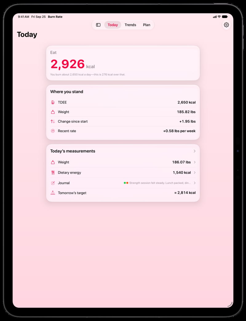 Burn Rate on iPad Pro 13-inch showing Home for the gain story, in the Pink tint, light appearance.