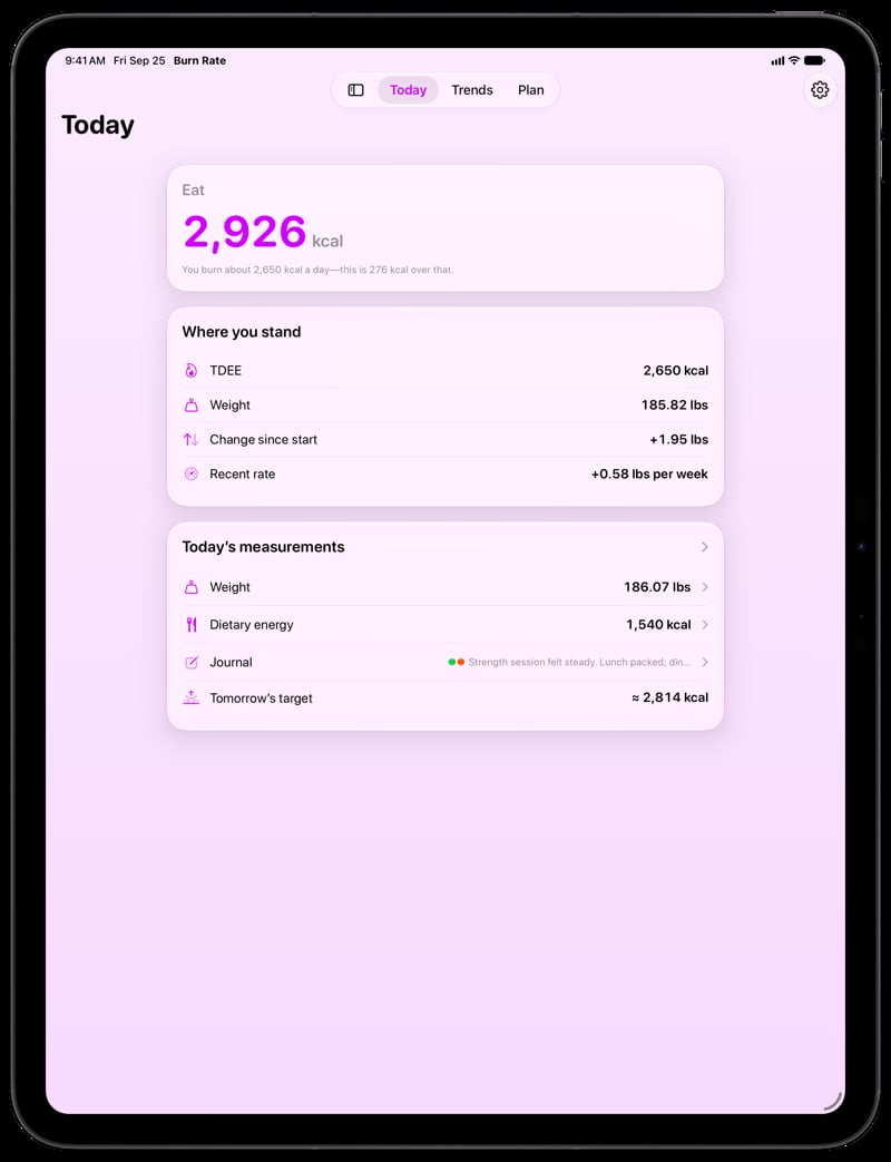 Burn Rate on iPad Pro 13-inch showing Home for the gain story, in the Purple tint, light appearance.