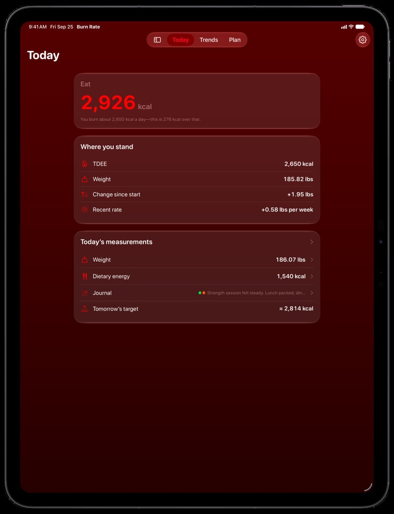 Burn Rate on iPad Pro 13-inch showing Home for the gain story, in the Red tint, dark appearance.
