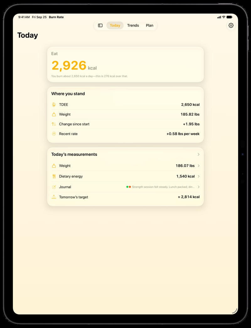Burn Rate on iPad Pro 13-inch showing Home for the gain story, in the Yellow tint, light appearance.