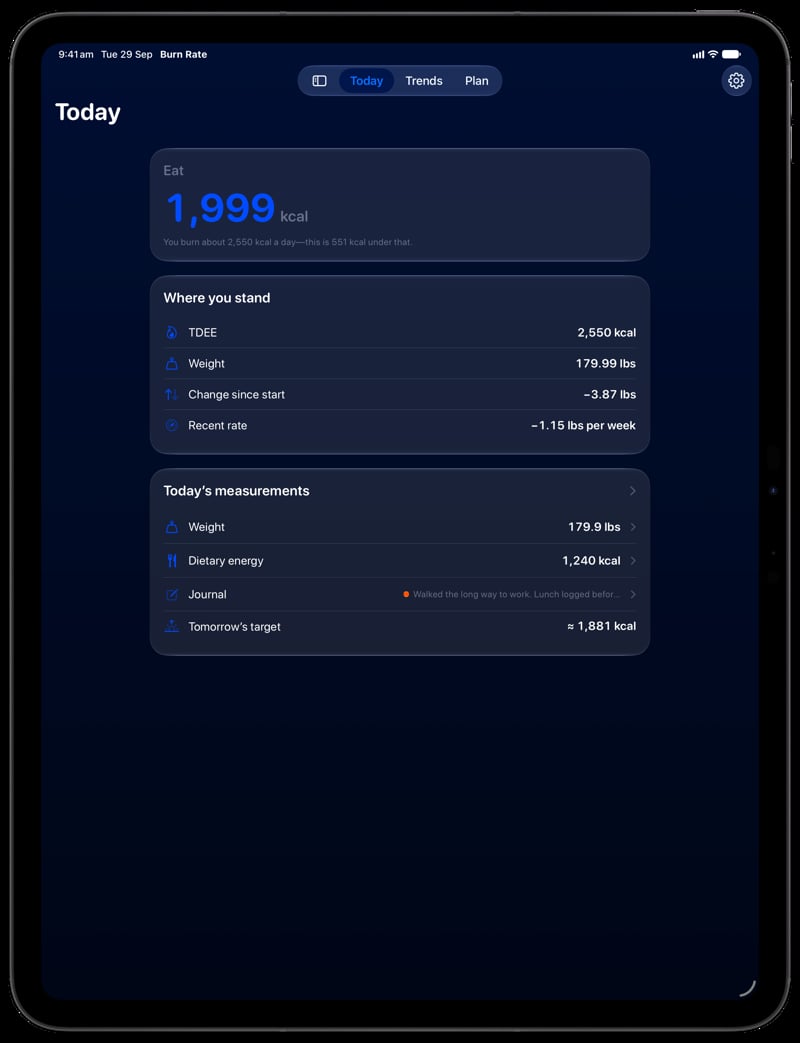 Burn Rate on iPad Pro 13-inch showing Home for the loss story, in the Blue tint, dark appearance.