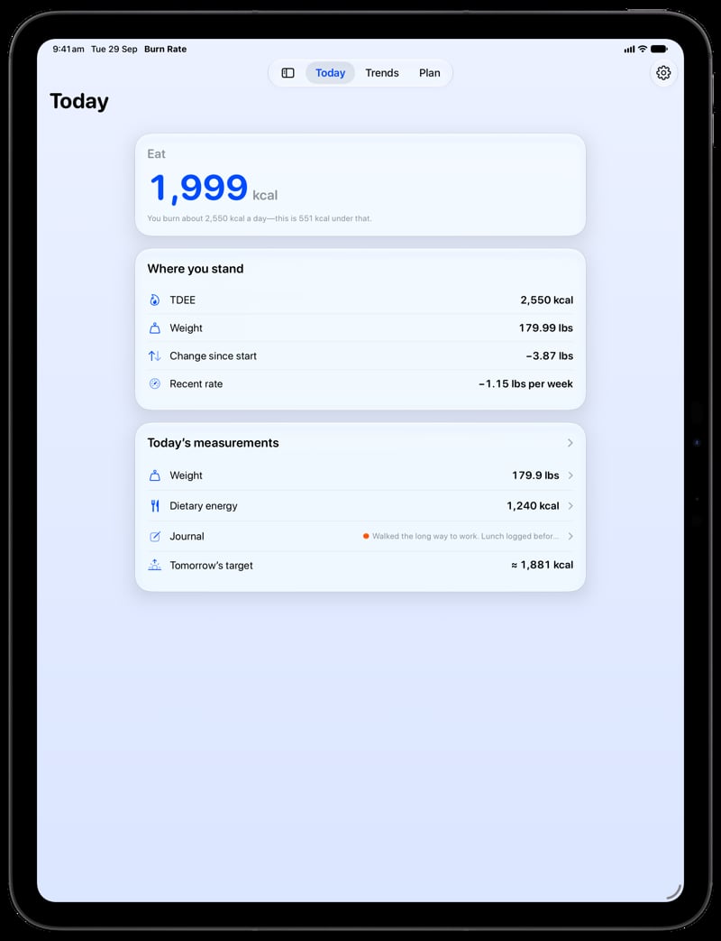 Burn Rate on iPad Pro 13-inch showing Home for the loss story, in the Blue tint, light appearance.