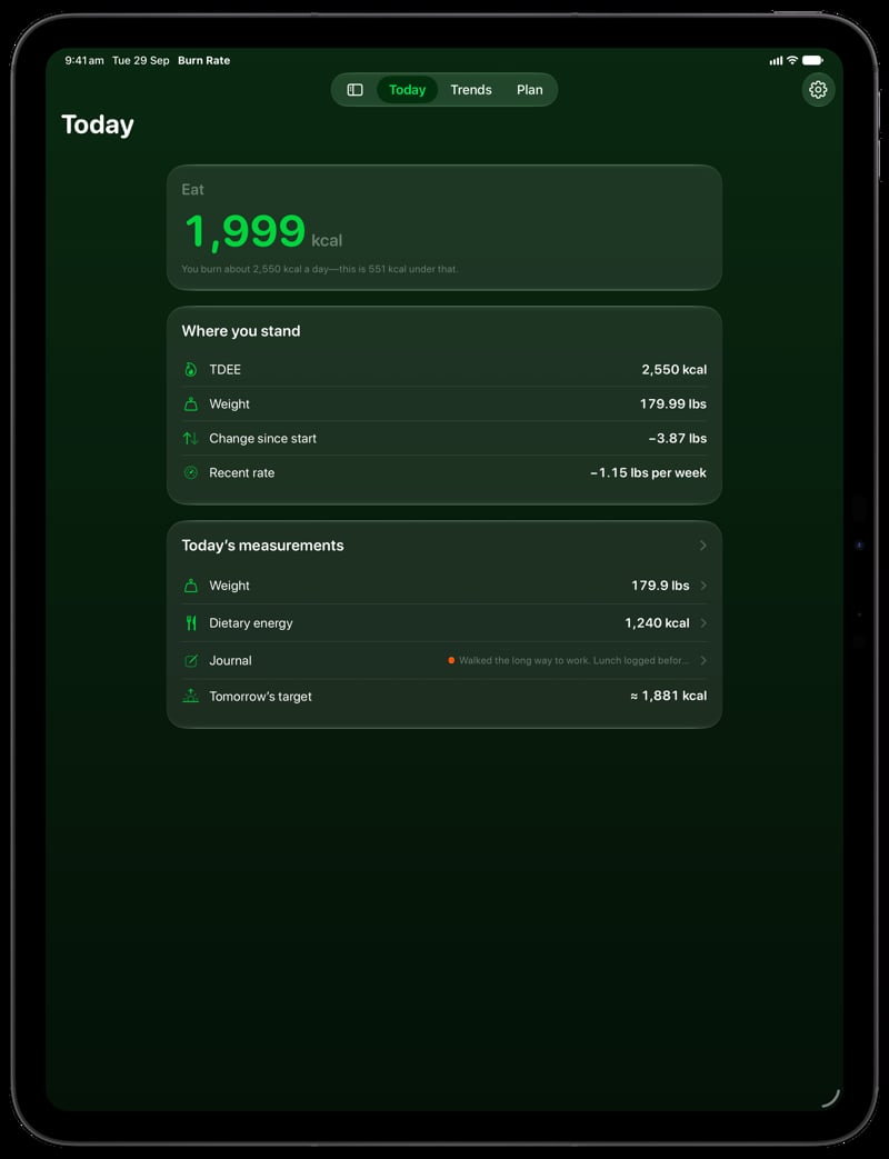Burn Rate on iPad Pro 13-inch showing Home for the loss story, in the Green tint, dark appearance.