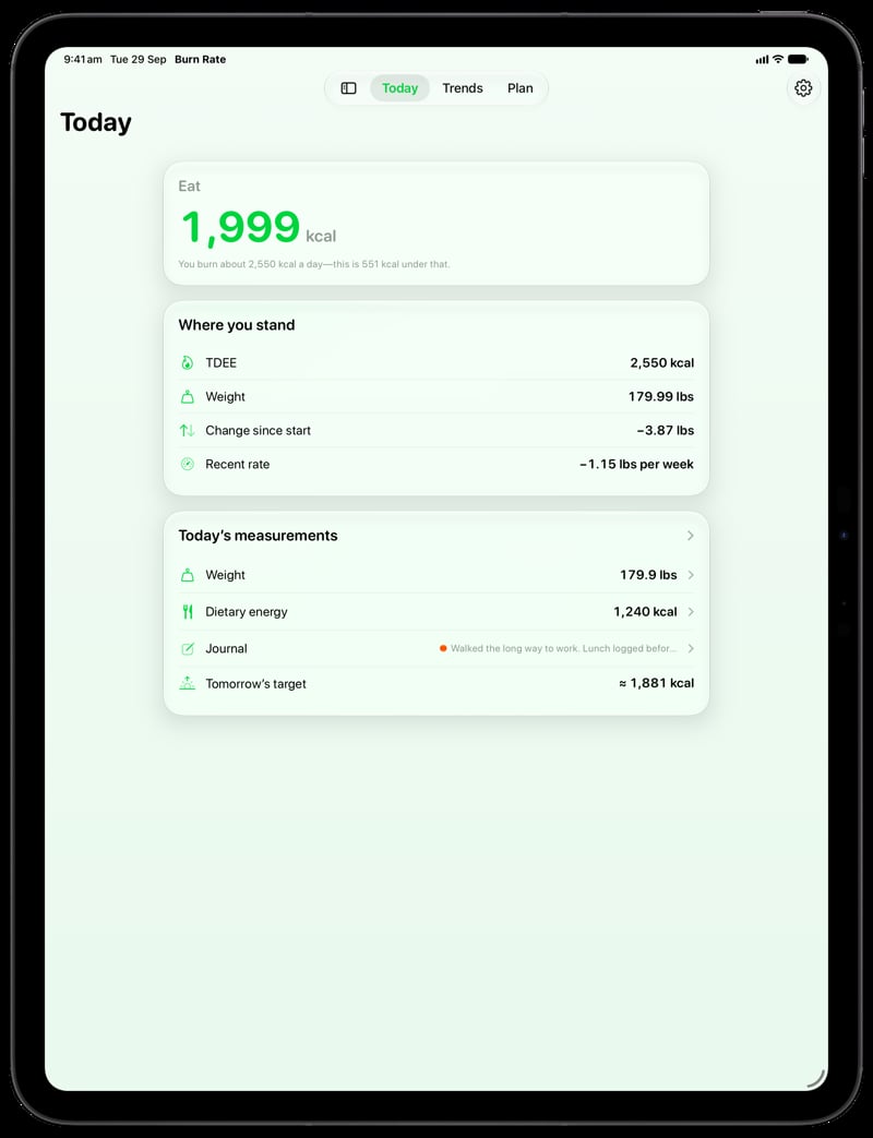 Burn Rate on iPad Pro 13-inch showing Home for the loss story, in the Green tint, light appearance.