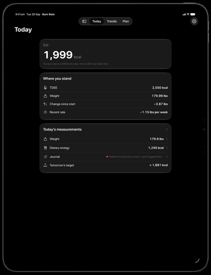 Burn Rate on iPad Pro 13-inch showing Home for the loss story, in the Grey tint, dark appearance.