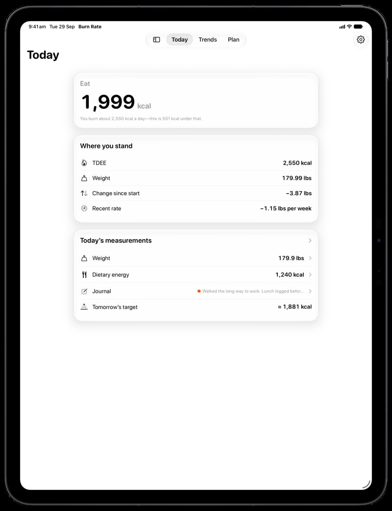 Burn Rate on iPad Pro 13-inch showing Home for the loss story, in the Grey tint, light appearance.