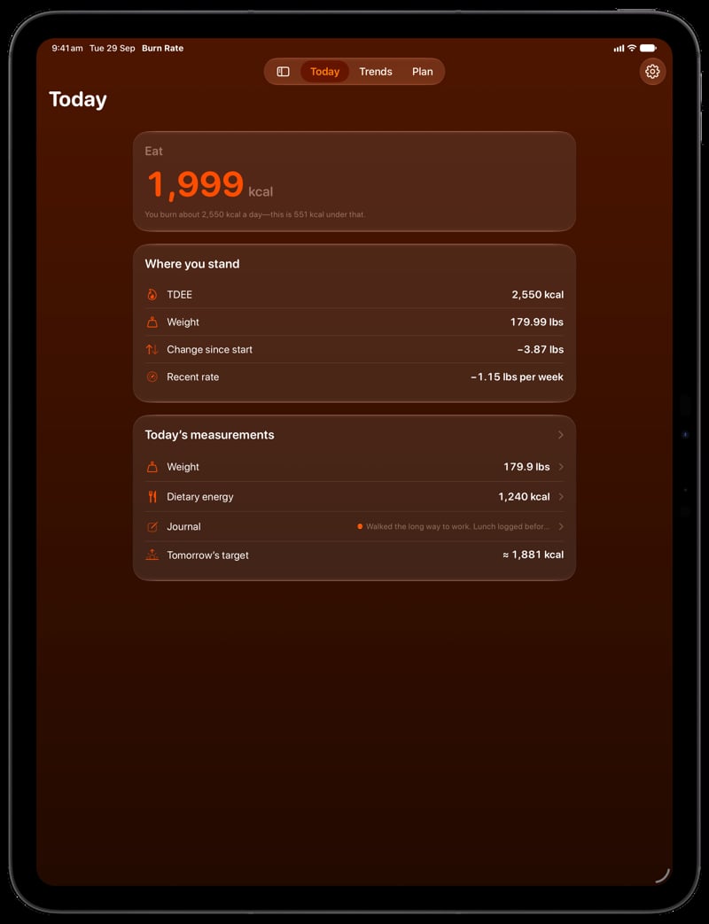 Burn Rate on iPad Pro 13-inch showing Home for the loss story, in the Orange tint, dark appearance.