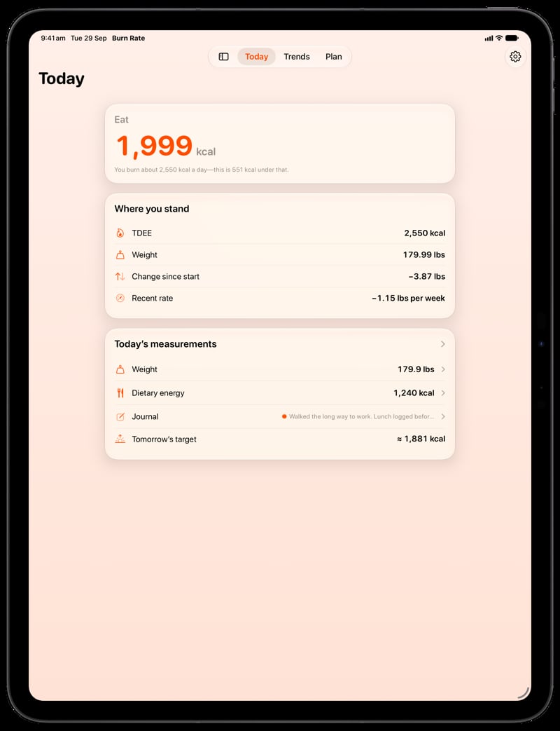 Burn Rate on iPad Pro 13-inch showing Home for the loss story, in the Orange tint, light appearance.