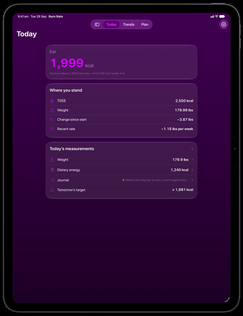 Burn Rate on iPad Pro 13-inch showing Home for the loss story, in the Purple tint, dark appearance.