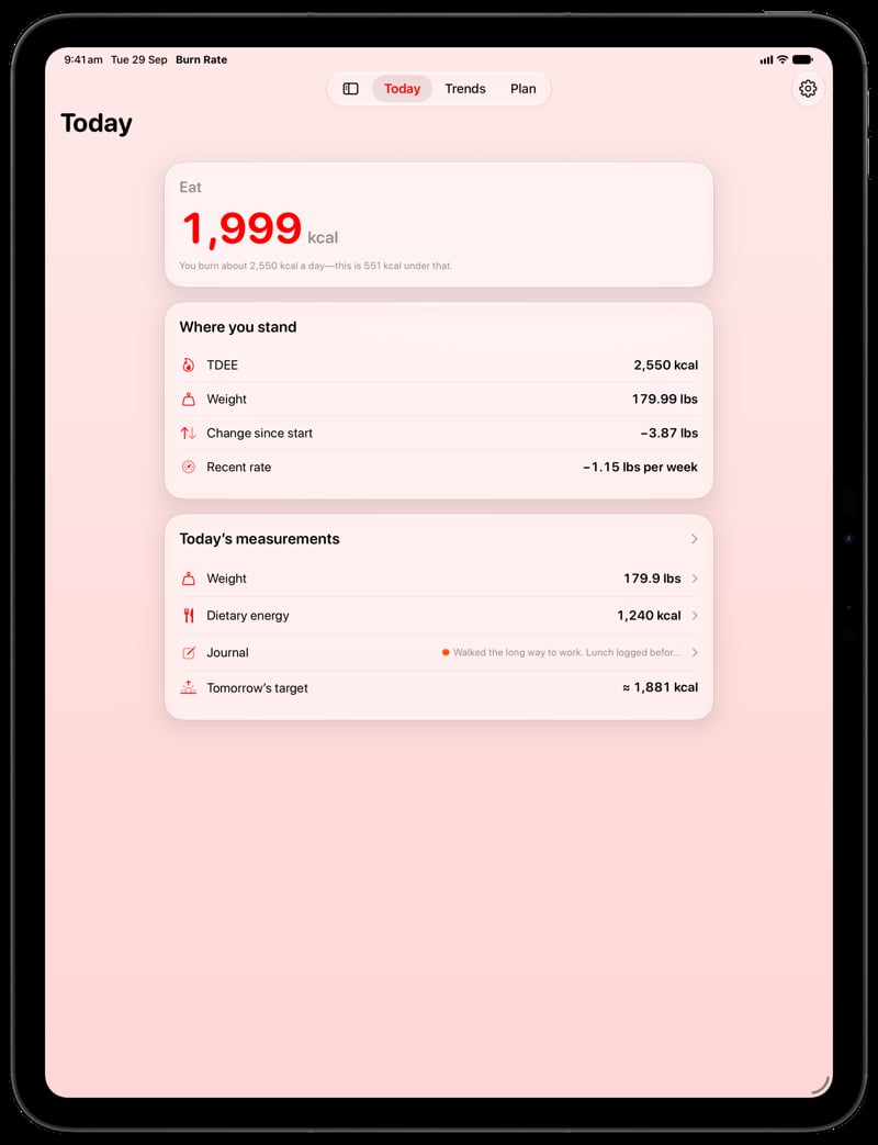 Burn Rate on iPad Pro 13-inch showing Home for the loss story, in the Red tint, light appearance.