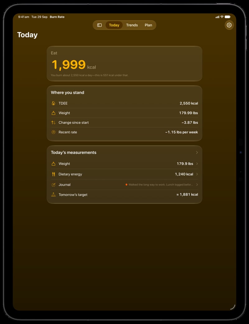 Burn Rate on iPad Pro 13-inch showing Home for the loss story, in the Yellow tint, dark appearance.