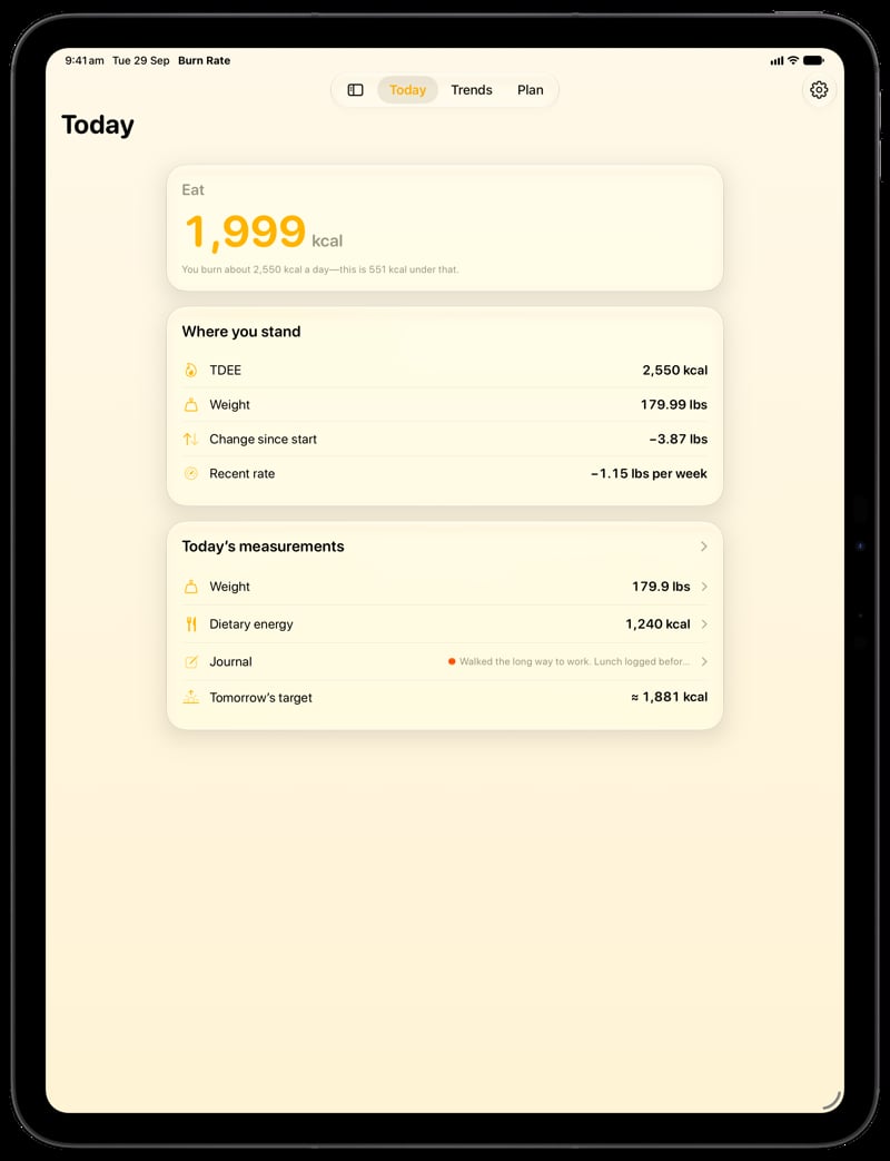 Burn Rate on iPad Pro 13-inch showing Home for the loss story, in the Yellow tint, light appearance.