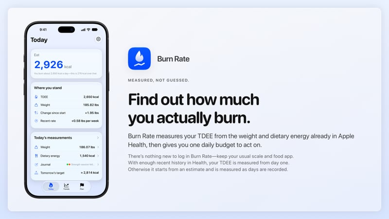 The Burn Rate share image, showing the app on iPhone 18 Pro Max with its icon, name and headline for the gain story, in the Blue tint, light appearance.