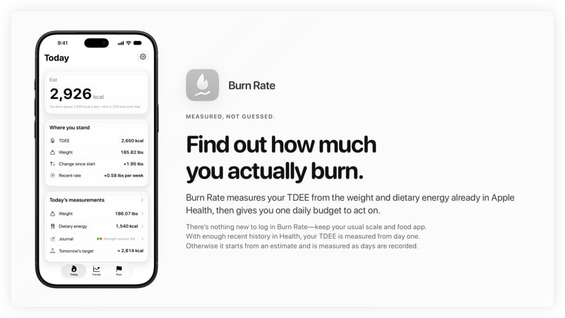 The Burn Rate share image, showing the app on iPhone 18 Pro Max with its icon, name and headline for the gain story, in the Grey tint, light appearance.