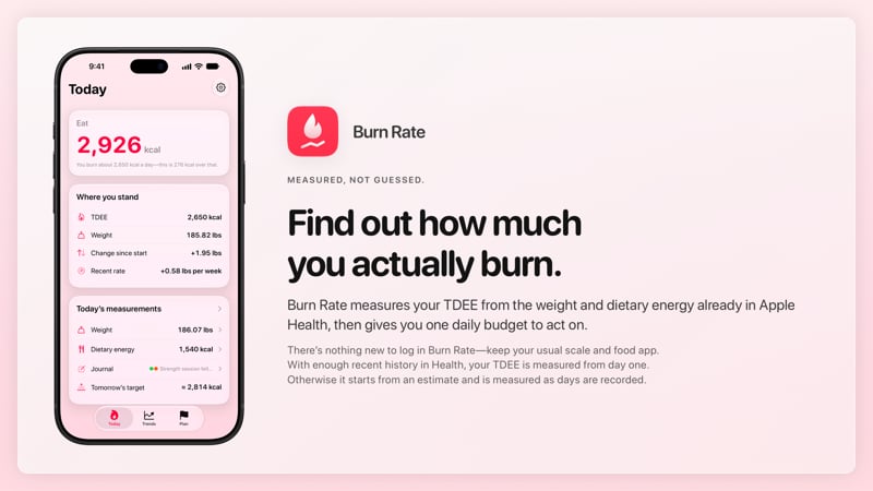 The Burn Rate share image, showing the app on iPhone 18 Pro Max with its icon, name and headline for the gain story, in the Pink tint, light appearance.