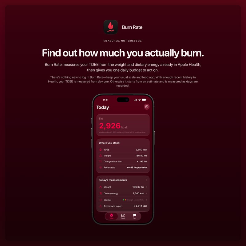 The Burn Rate share image, showing the app on iPhone 18 Pro Max with its icon, name and headline for the gain story, in the Pink tint, dark appearance.
