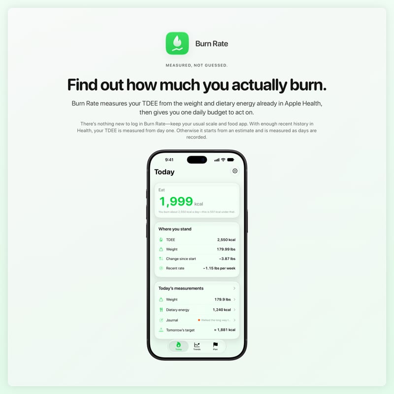 The Burn Rate share image, showing the app on iPhone 18 Pro Max with its icon, name and headline for the loss story, in the Green tint, light appearance.