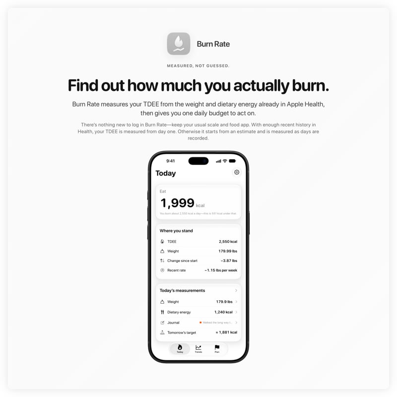 The Burn Rate share image, showing the app on iPhone 18 Pro Max with its icon, name and headline for the loss story, in the Grey tint, light appearance.