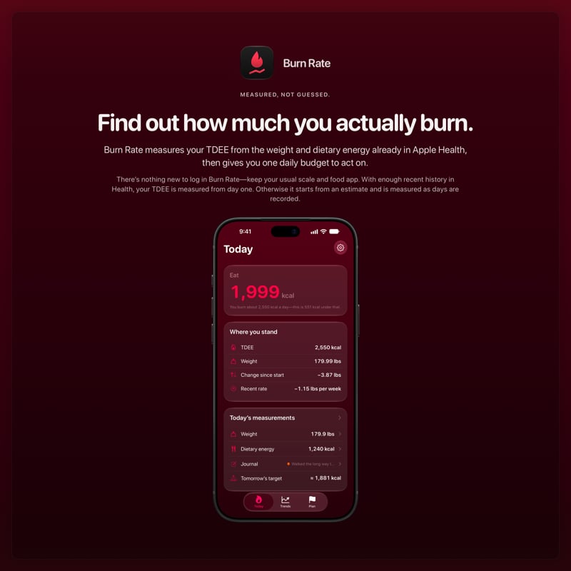 The Burn Rate share image, showing the app on iPhone 18 Pro Max with its icon, name and headline for the loss story, in the Pink tint, dark appearance.