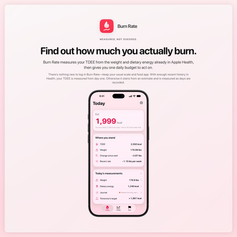 The Burn Rate share image, showing the app on iPhone 18 Pro Max with its icon, name and headline for the loss story, in the Pink tint, light appearance.