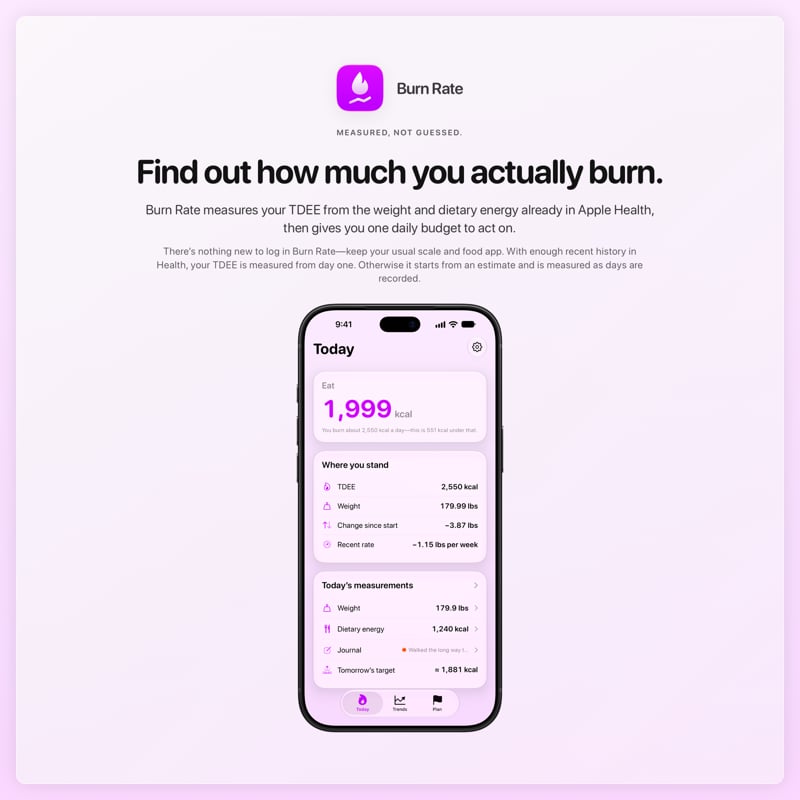 The Burn Rate share image, showing the app on iPhone 18 Pro Max with its icon, name and headline for the loss story, in the Purple tint, light appearance.