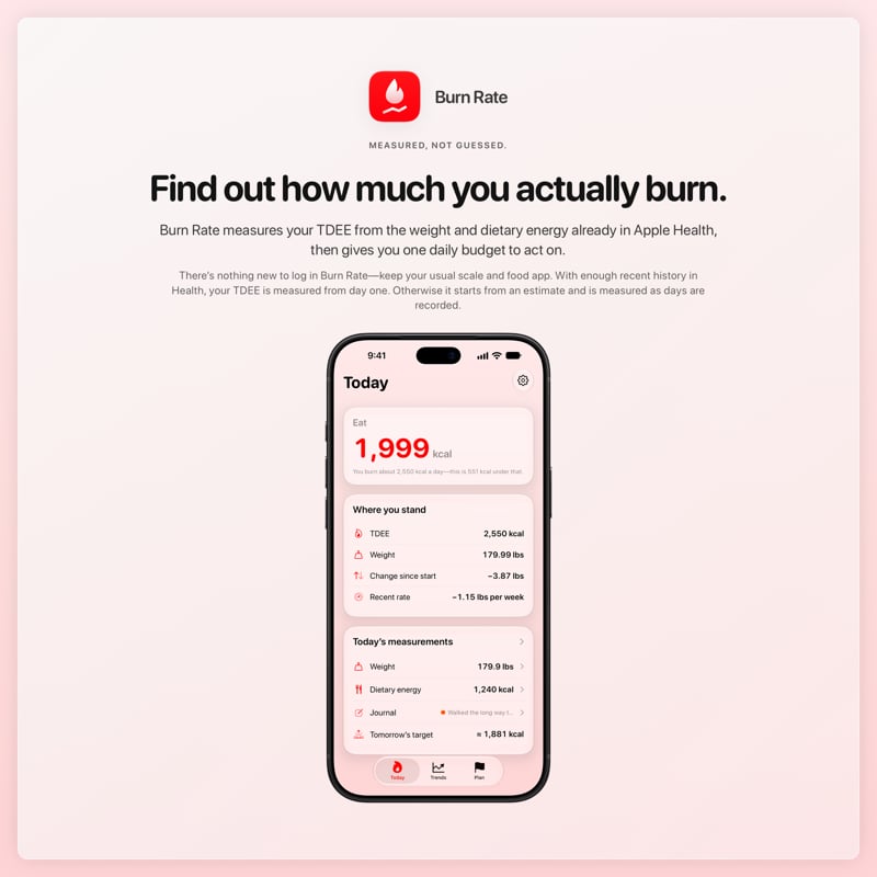 The Burn Rate share image, showing the app on iPhone 18 Pro Max with its icon, name and headline for the loss story, in the Red tint, light appearance.