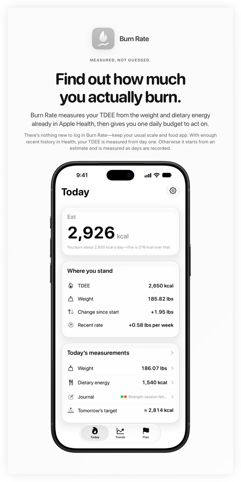 The Burn Rate share image, showing the app on iPhone 18 Pro Max with its icon, name and headline for the gain story, in the Grey tint, light appearance.